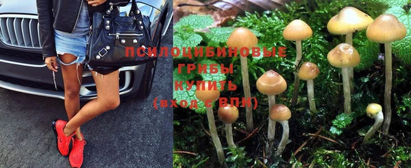 твердый Балабаново